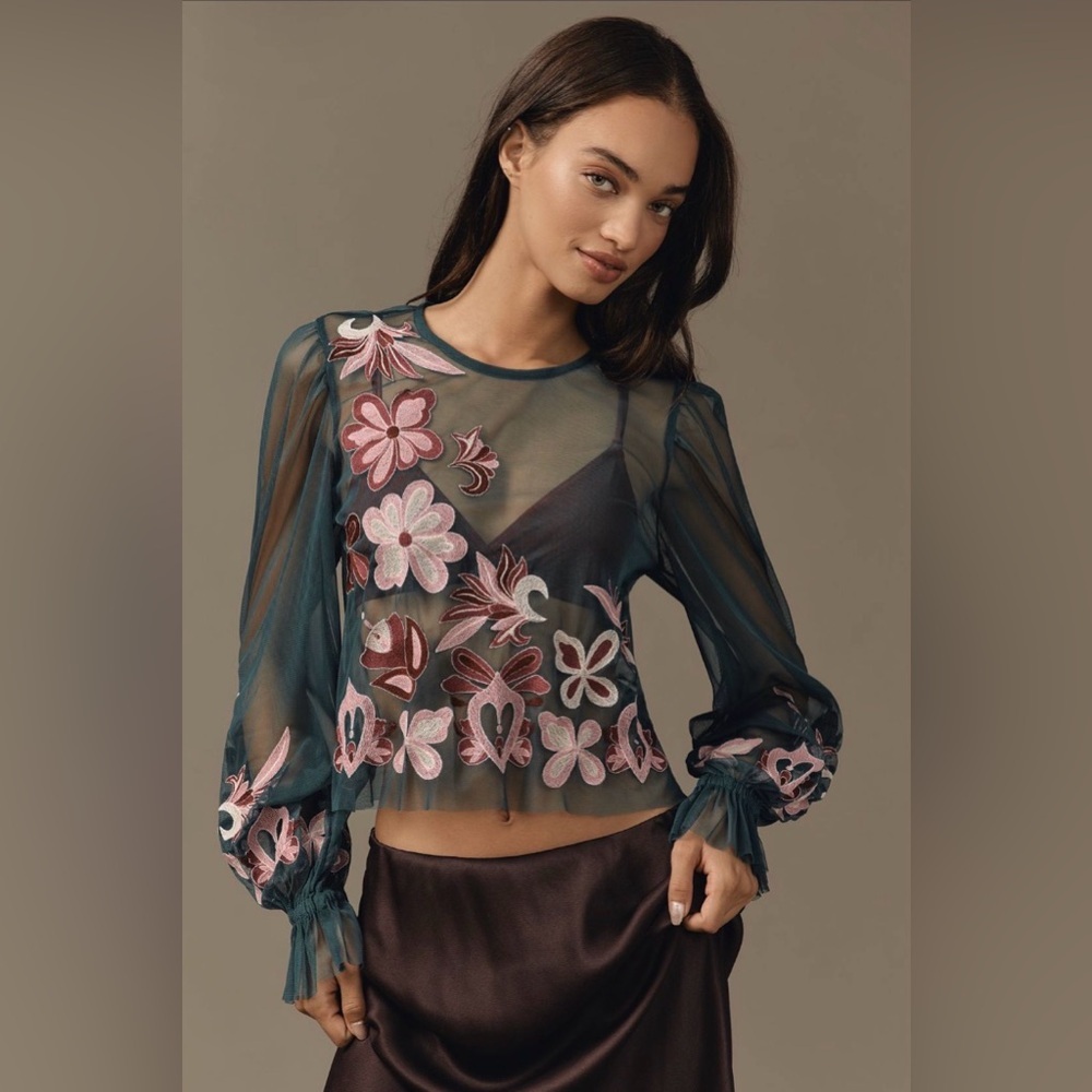 NWT By Anthropologie Embroidered Embroidered Mesh Blouse - Picture 1 of 11